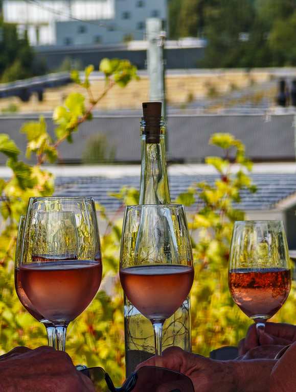 20250824_Lochauer Weinfest-30.jpg