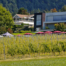 20250824_Lochauer Weinfest-33.jpg