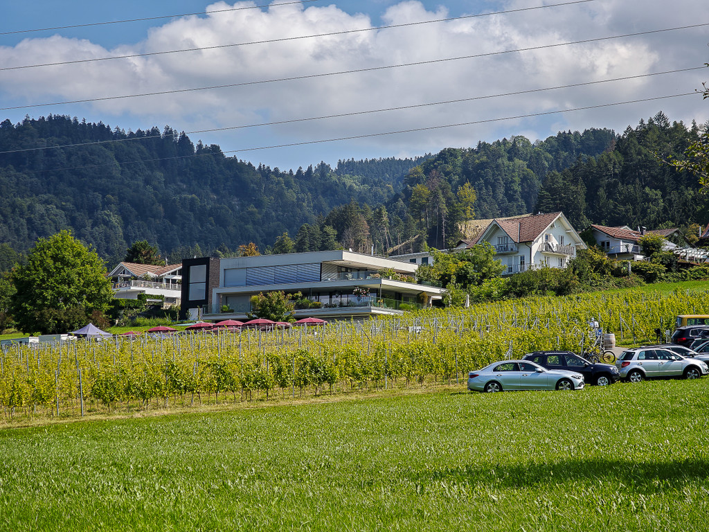 20250824_Lochauer Weinfest-32.jpg