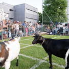 Lauterach_Familienfest-2025_V11.jpg