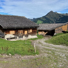 IMG_5595.JPG