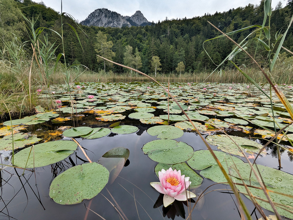 Reutte25Bild4.jpg