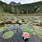 Reutte25Bild4.jpg