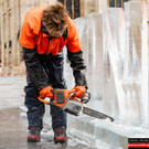 Vienna_at _6 von 37_.JPG