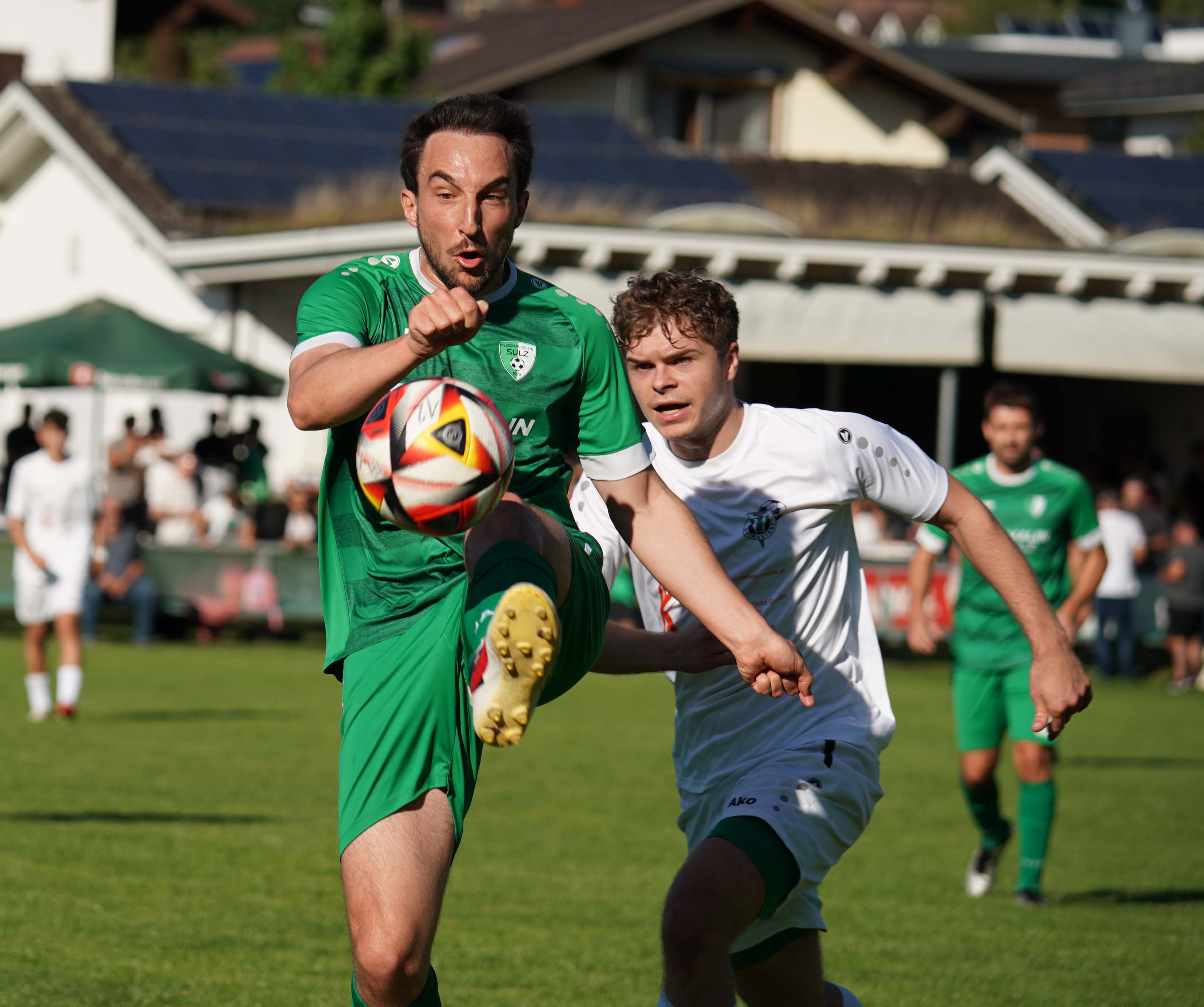 aDSC08646.jpg