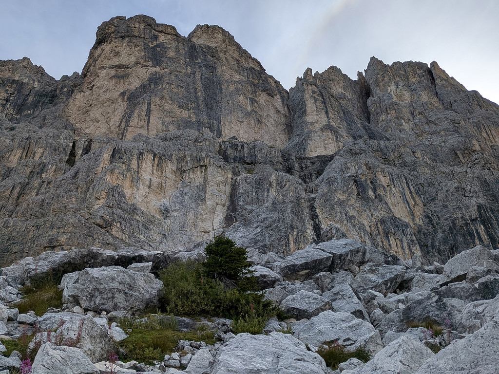 04_ WW Rosengarten.jpg