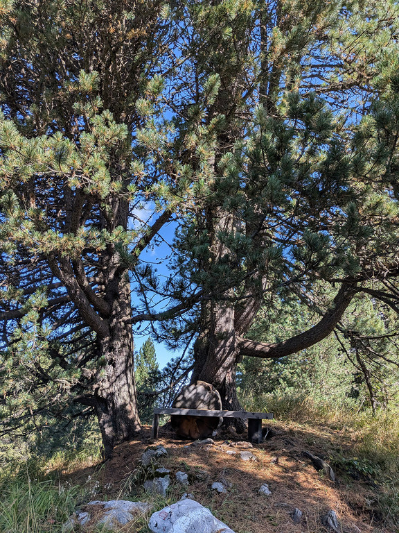 09_ WW Rosengarten.jpg