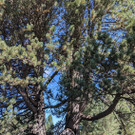 09_ WW Rosengarten.jpg