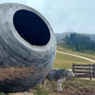 10_ WW Rosengarten.jpg