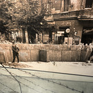 20250916_101819333_iOS 1.jpg