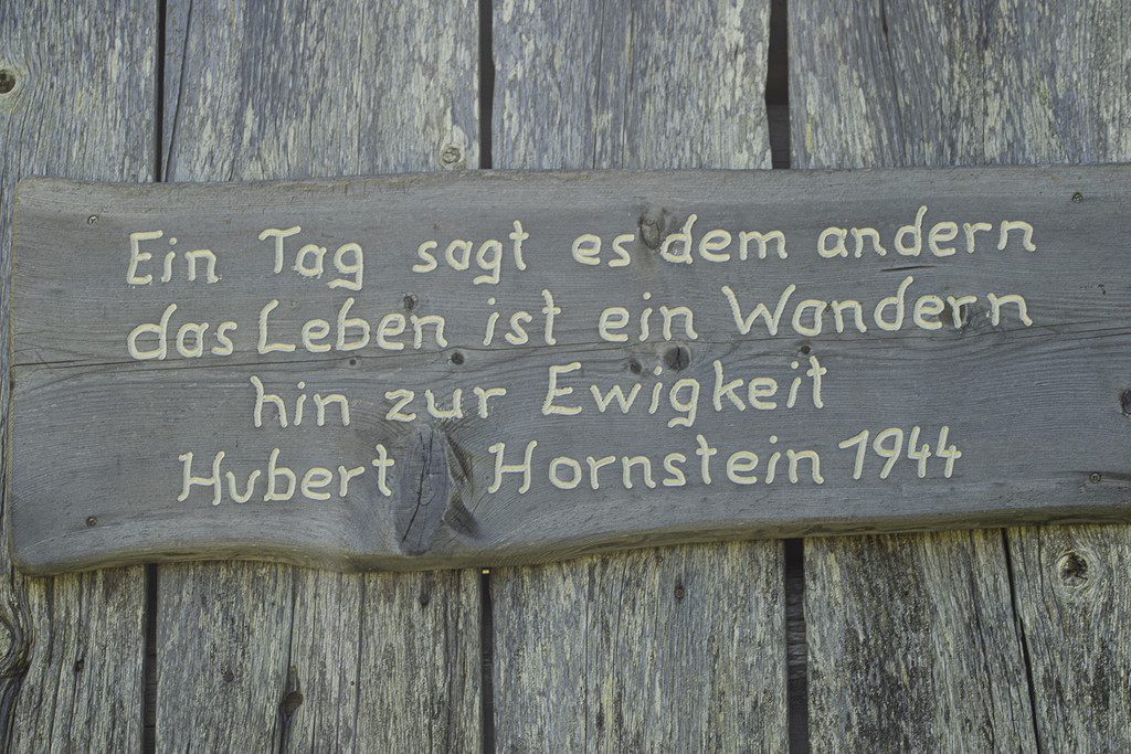DSC06078.jpg