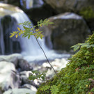 DSC06087.jpg