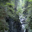 _DSC2264.jpg