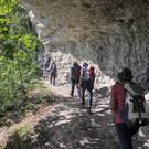 Foto Feldsbandweg1.jpg