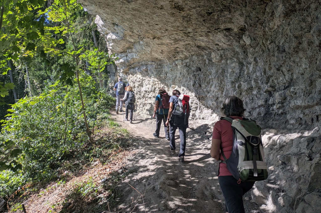 Foto Feldsbandweg1.jpg