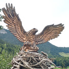 Seniorenausflug au 2025  _11_.jpg