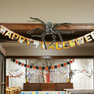 K__rbisschnizen Diana Binder-2.jpg