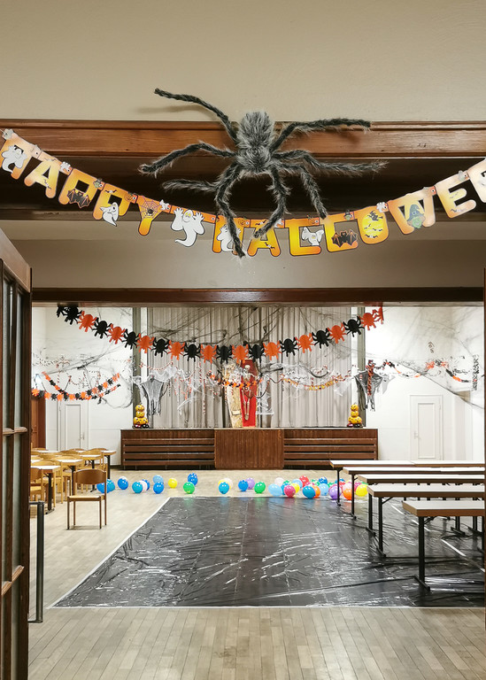 K__rbisschnizen Diana Binder-2.jpg