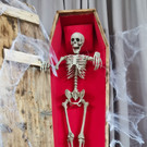 K__rbisschnizen Diana Binder-4.jpg