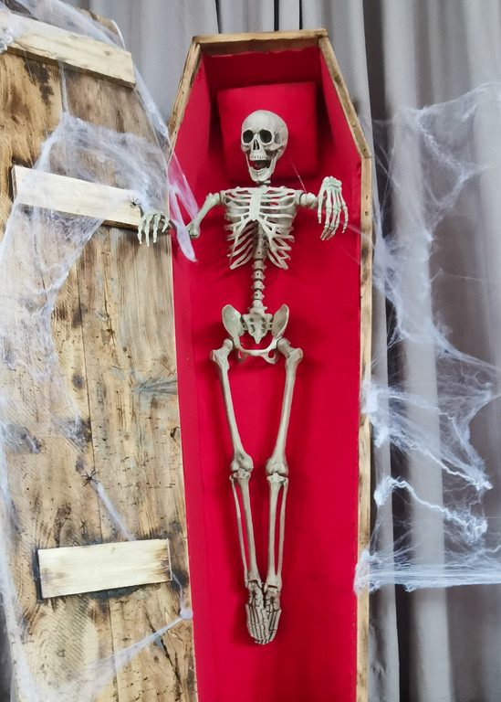 K__rbisschnizen Diana Binder-4.jpg