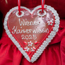 Vienna_at _14 von 54_.JPG