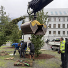 Neue Bäume für die „Schule im Park“