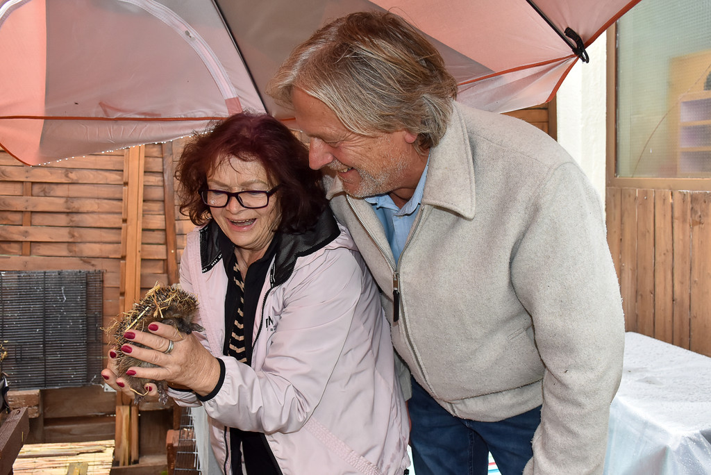 Igelstation Bahnhof Lochau-7.jpg