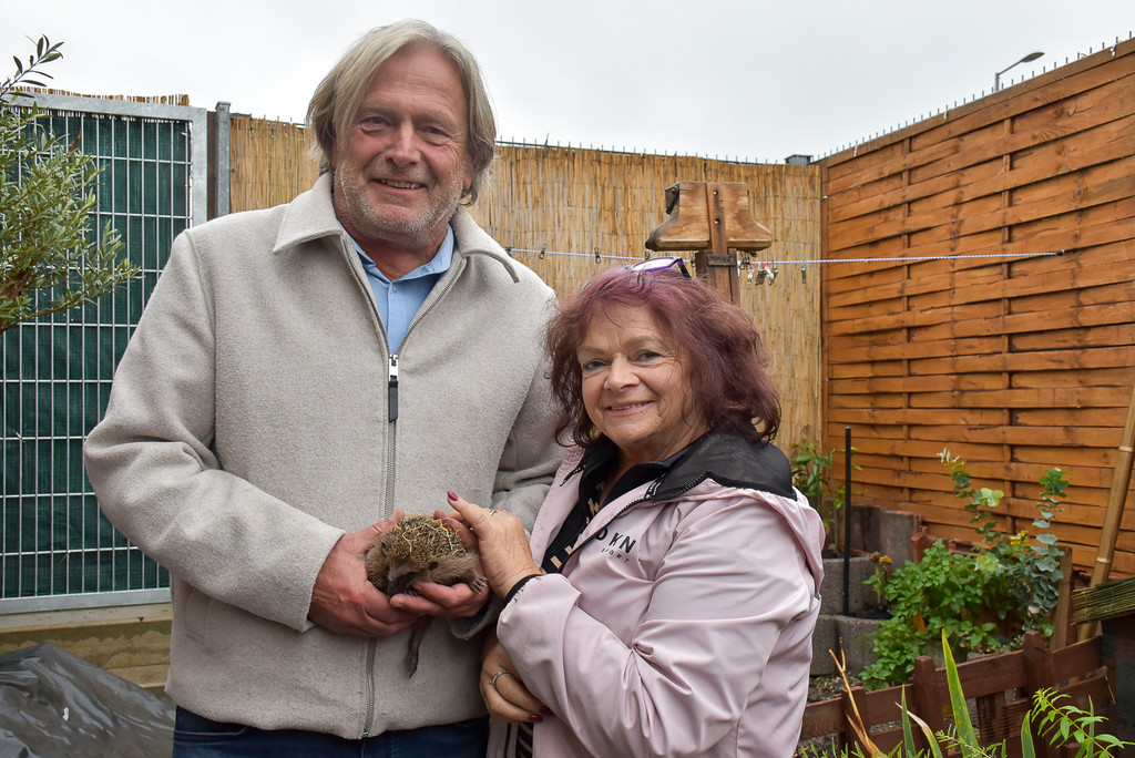 Igelstation Bahnhof Lochau-9.jpg