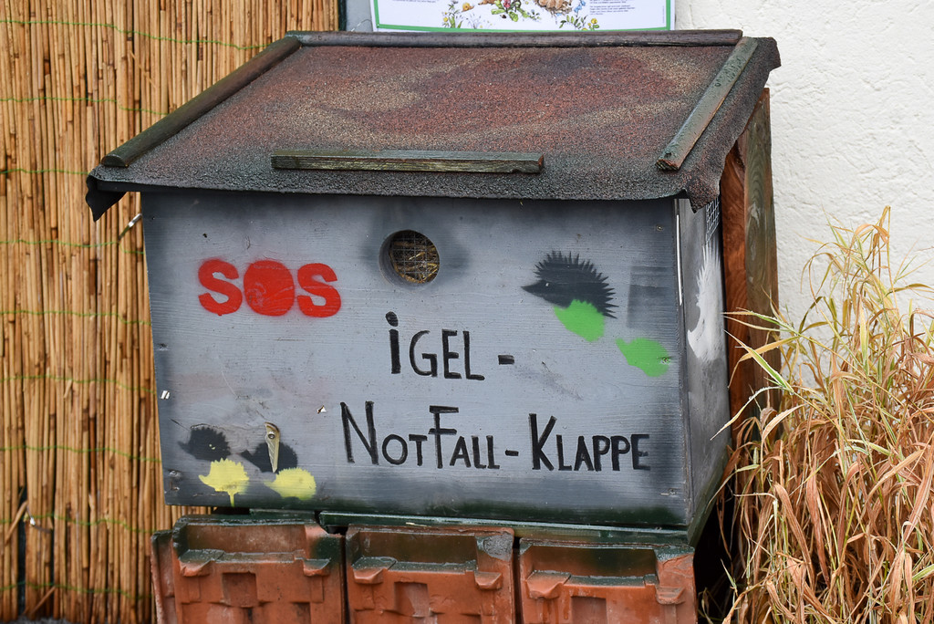 Igelstation Bahnhof Lochau-16.jpg