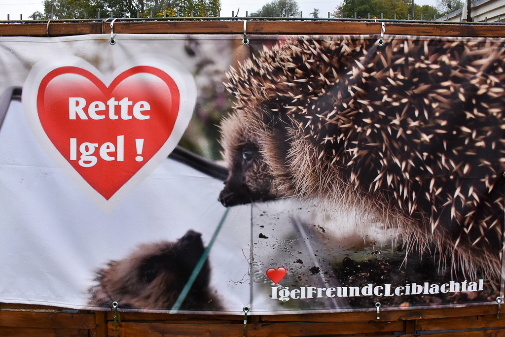 Igelstation Bahnhof Lochau-17.jpg