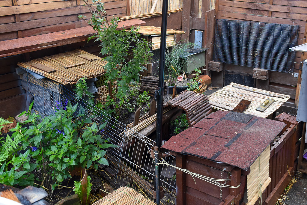 Igelstation Bahnhof Lochau-15.jpg