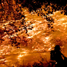 dc1-5qsdi4pze08f01po6hy_original.jpg