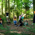 WALD