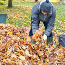 Ein wildes Eck für die Natur 