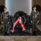 Vienna_at _11 von 11_.JPG