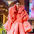 Vienna_at _117 von 125_.JPG