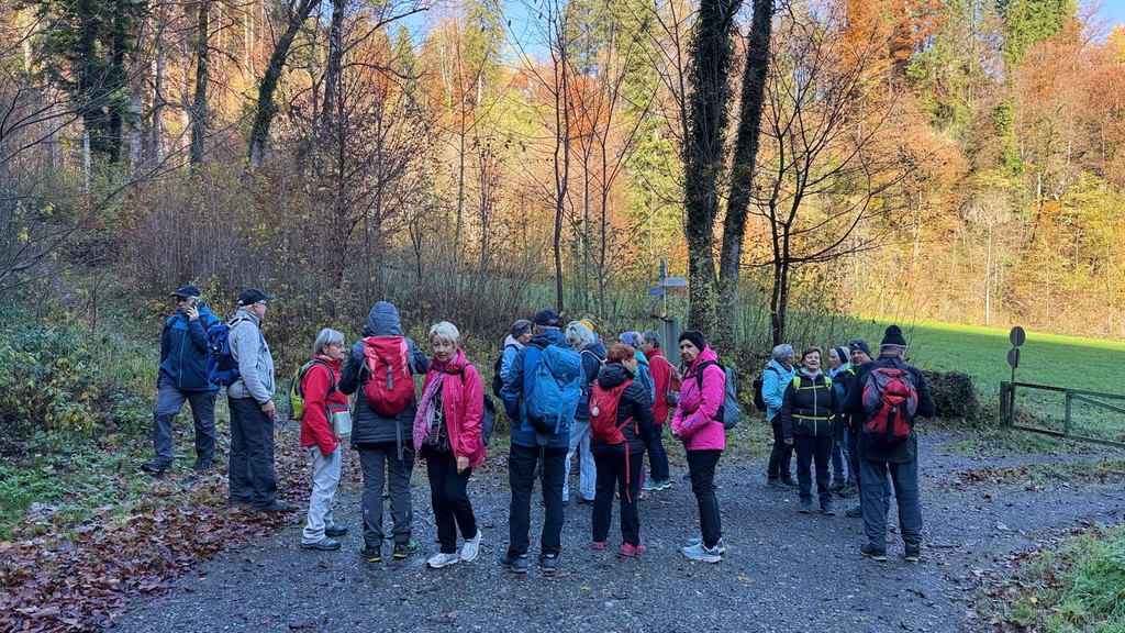 20251104_114445000_iOS 3.jpg