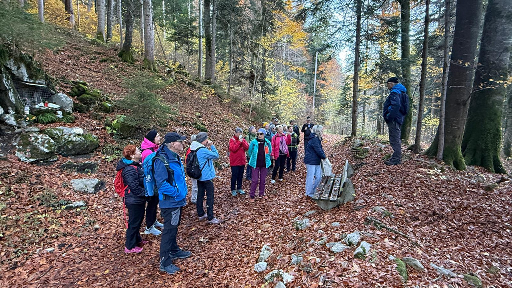 20251104_114446000_iOS 1.jpg