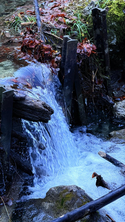 20251104_114449000_iOS 1.jpg