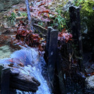 20251104_114449000_iOS 1.jpg