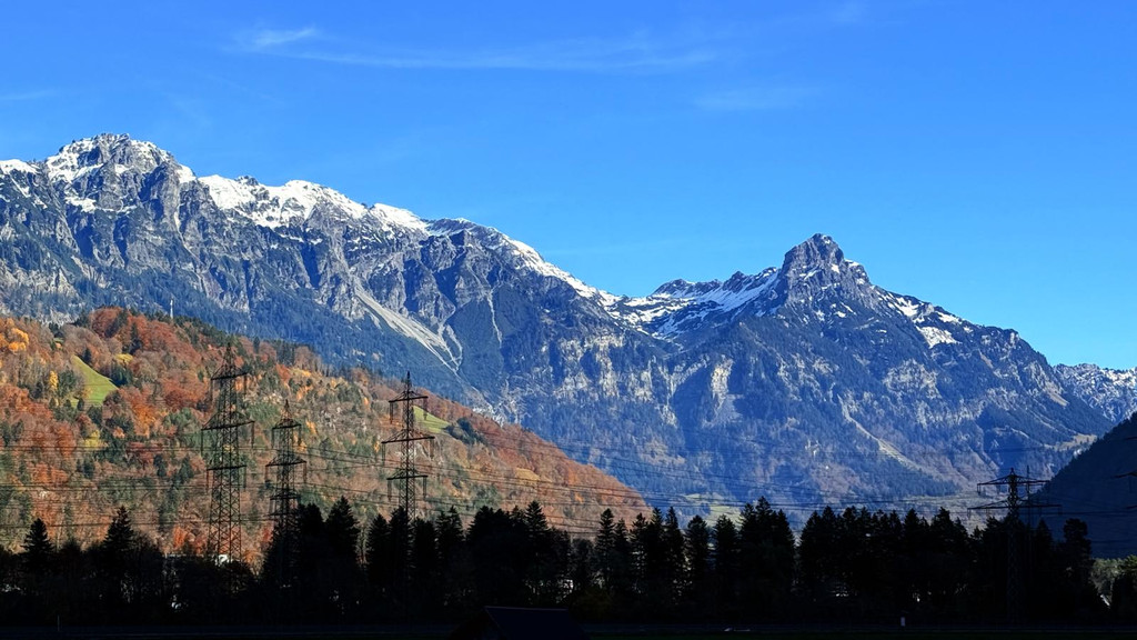 20251104_114450000_iOS 1.jpg