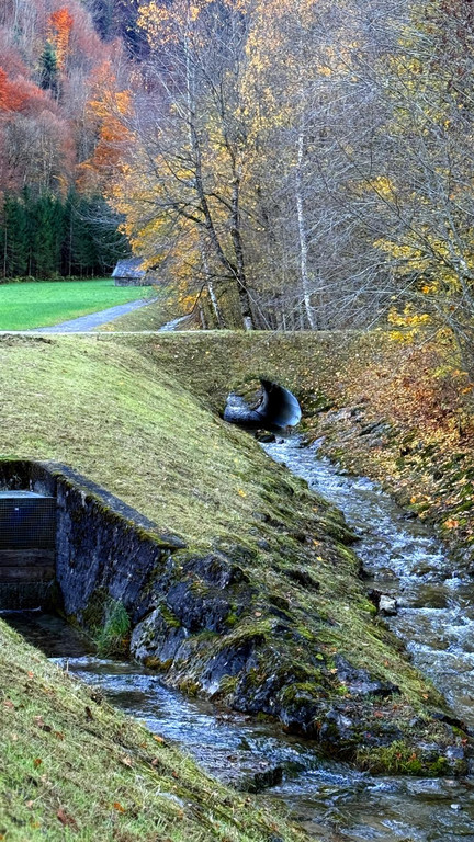 20251104_114450000_iOS 2.jpg