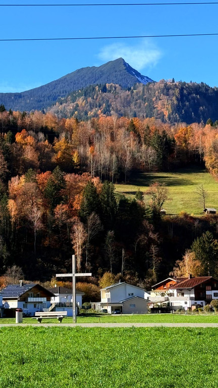 20251104_114451000_iOS 1.jpg