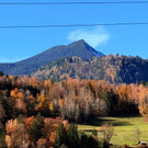 20251104_114451000_iOS 1.jpg