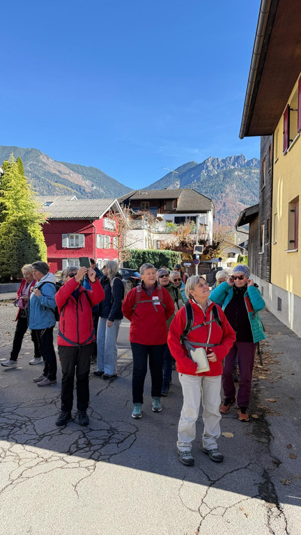 20251104_114444000_iOS 1.jpg