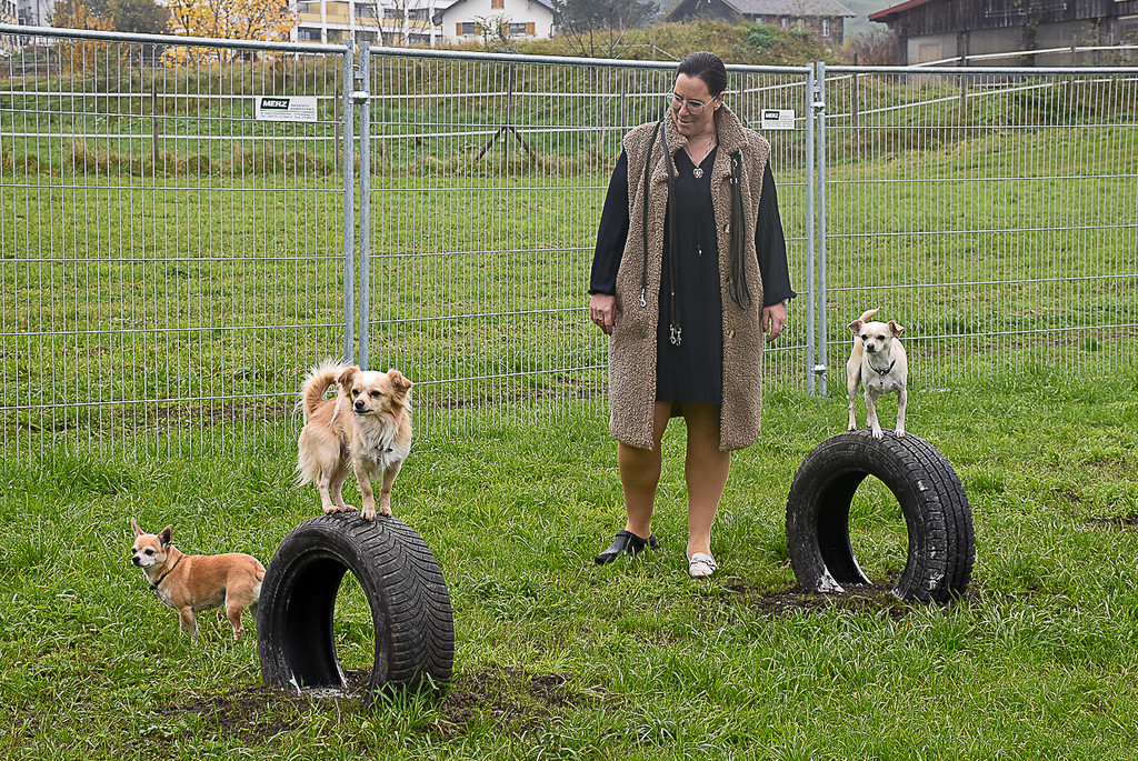 20251107_Er__ffnung Hunde-Freilauffl__che.jpg