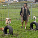 Eröffnung der Hunde-Freilauffläche in Lochau