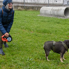 20251107_Er__ffnung Hunde-Freilauffl__che-6.jpg
