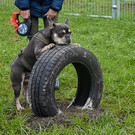 20251107_Er__ffnung Hunde-Freilauffl__che-8.jpg