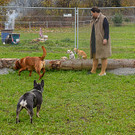 20251107_Er__ffnung Hunde-Freilauffl__che-18.jpg